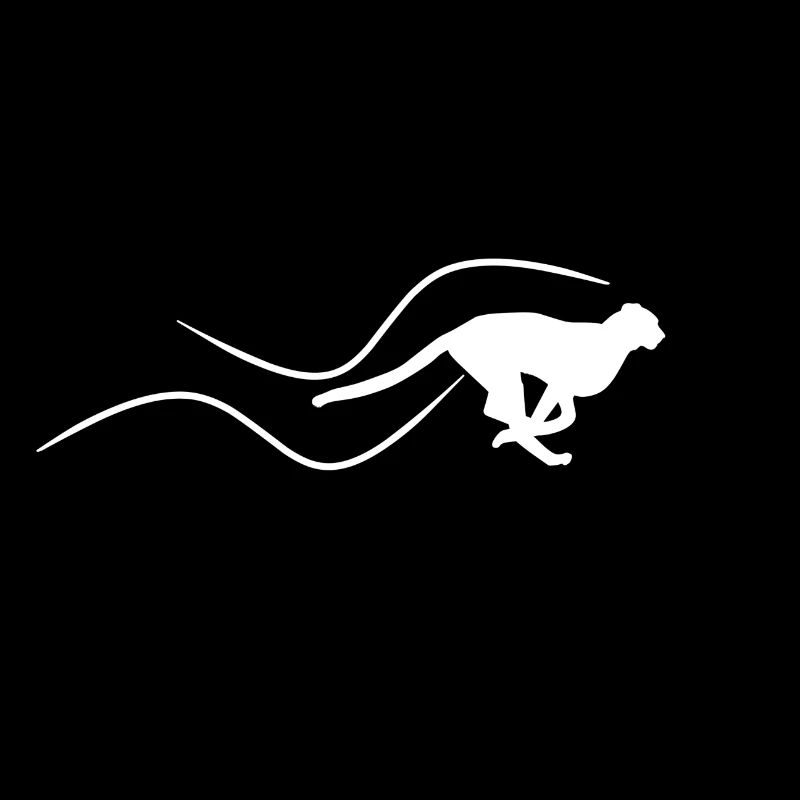 Cadeau rapide guépard steppe afrique