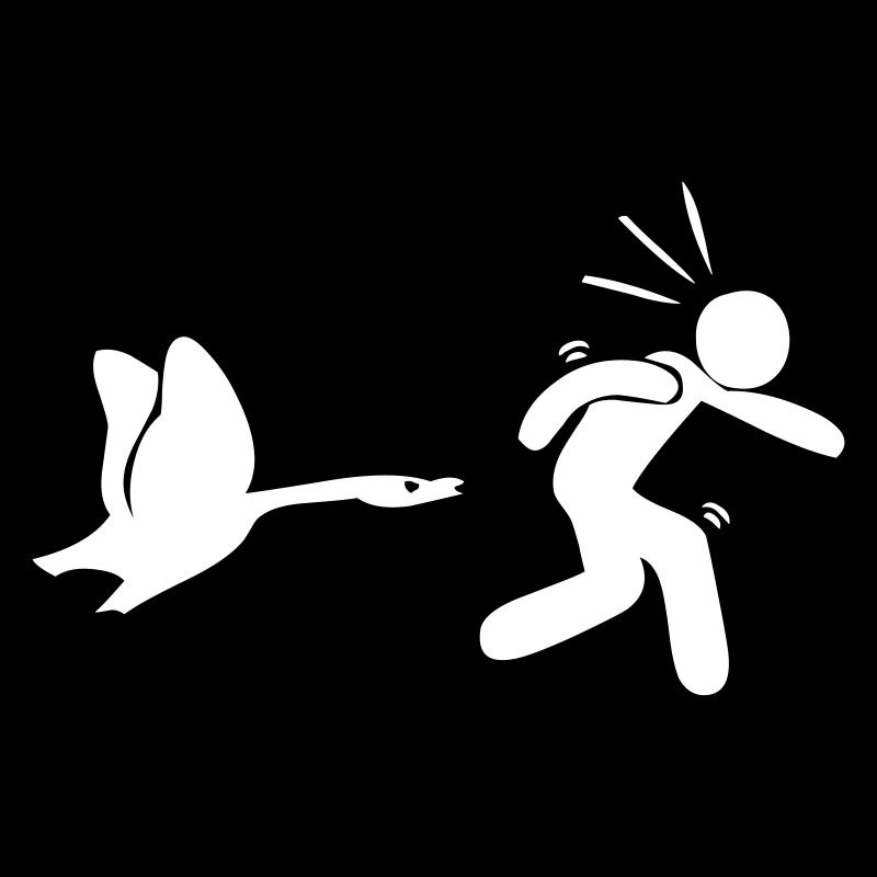 bird attack