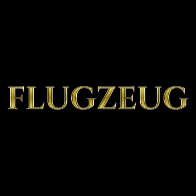 Flugzeug