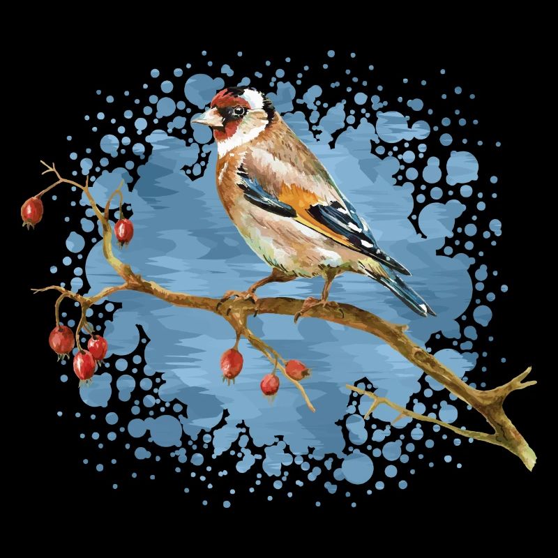 Oiseau coloré
