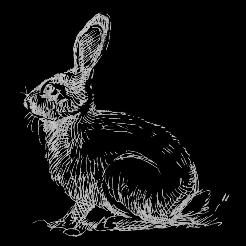 Osterhase