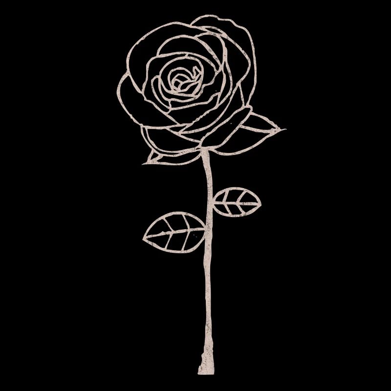 rose, roses, fleurs, fleurs, roses fleurs