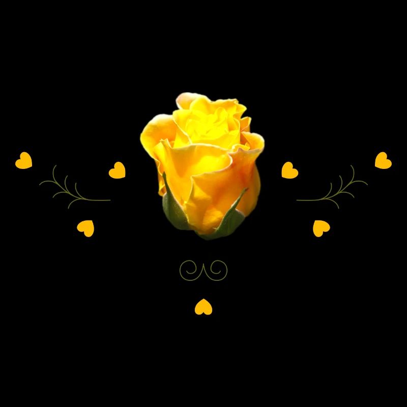 Rose Jaune Rose