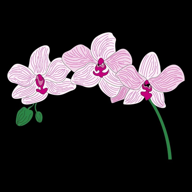 Rosa Orchidee Blume
