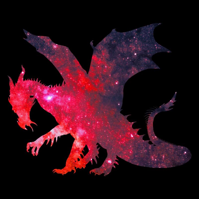 Dragons Fantasy Dragons Training