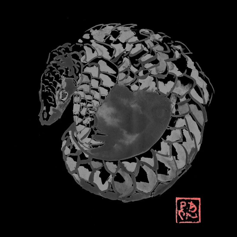 pangolin