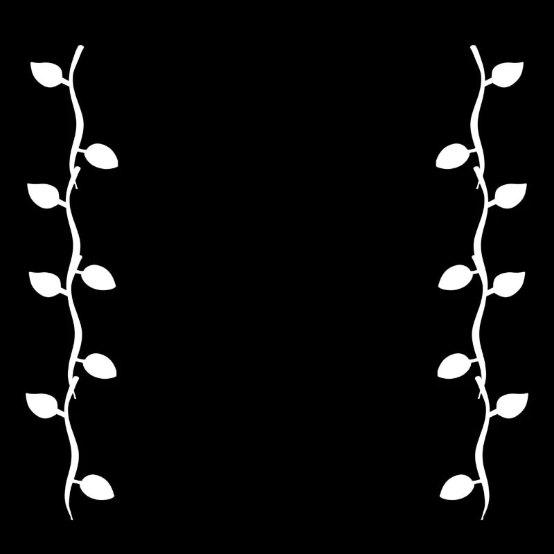 Feuilles Ligne Nature Feuille Branches Forme