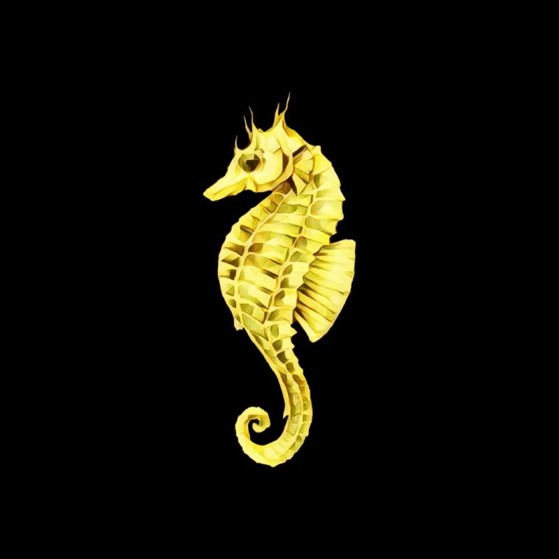 Seepferdchen