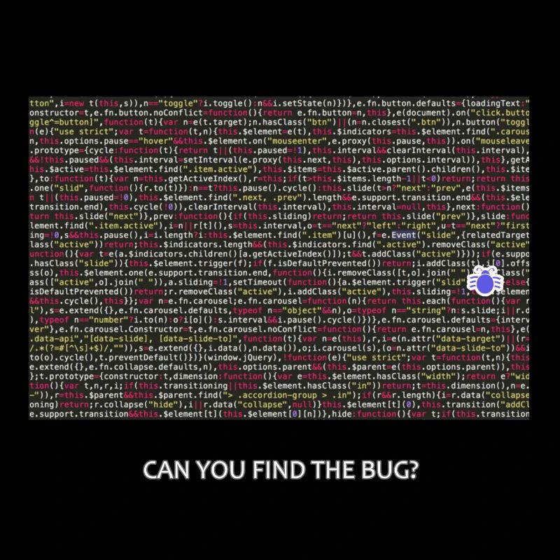 Programmer, coder, bugs, debugging