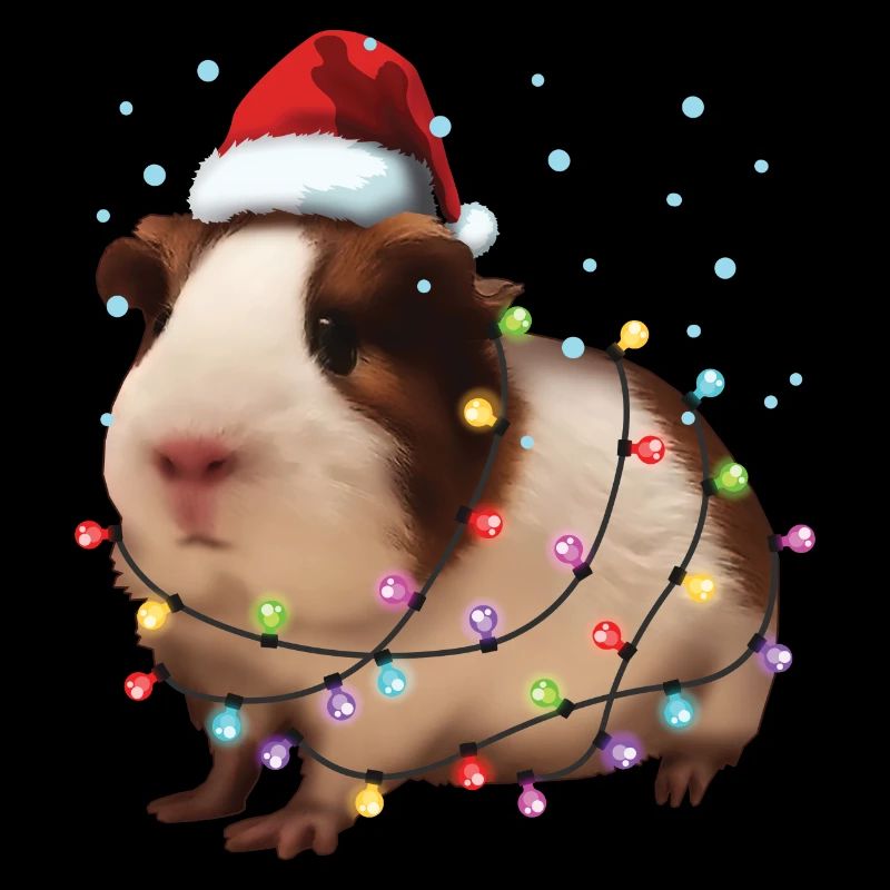 Cochon d’Inde de Noël - Drôle de rongeur de Père Noël mignon
