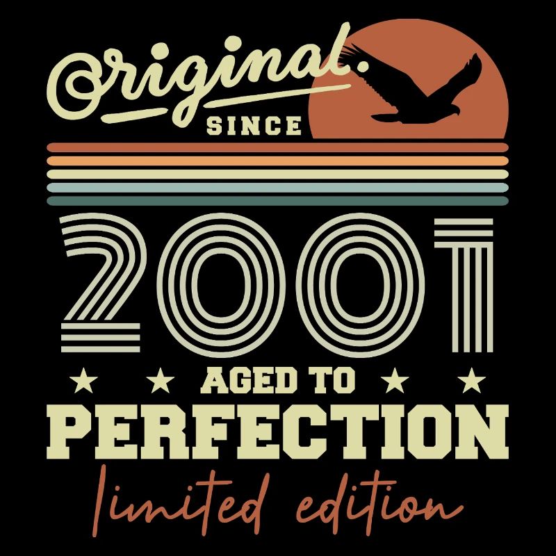 Original 2001 Retro 2001 Geburtstagsgeschenk 2001