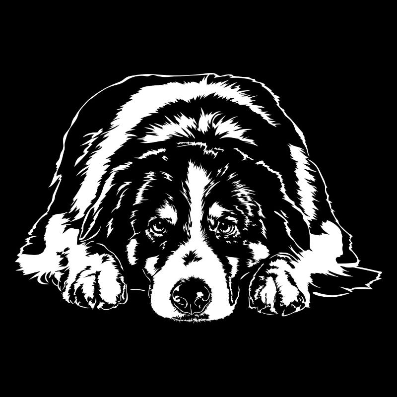 AUSTRALIE SHEPHERD Aussie Chiens Chiens Wilsigns