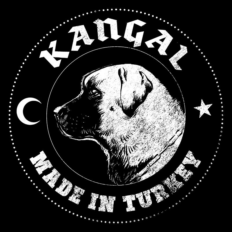 Kangal