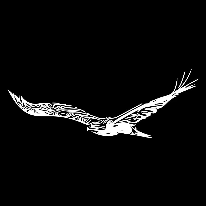 aigle