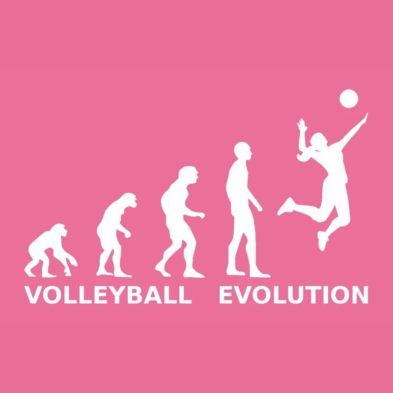 Volleyball Evolution