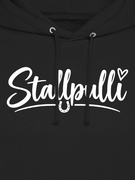 Stallpulli - Pferd - Reiterin - Stall - Pullover