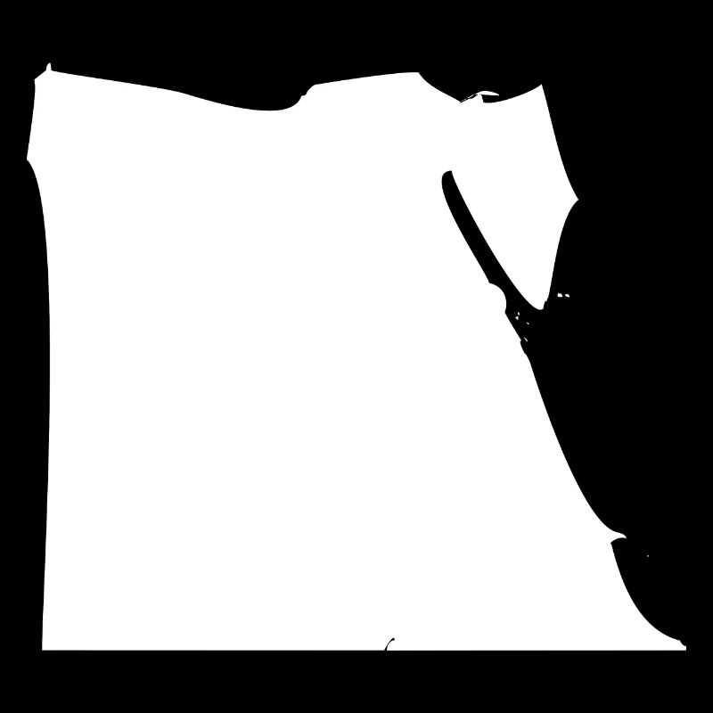 Egypt map flag