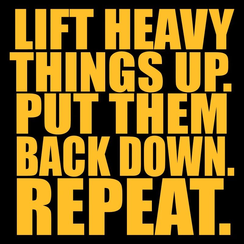Lift Things Put Them Back Down