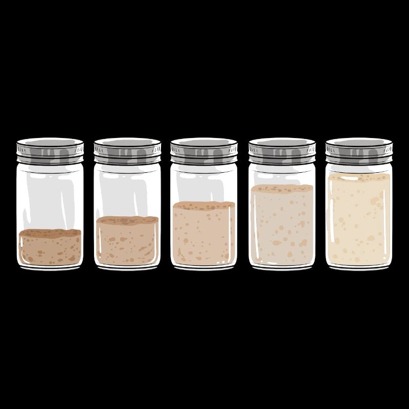 Sourdough I Sourdough Starter Evolution I Bread