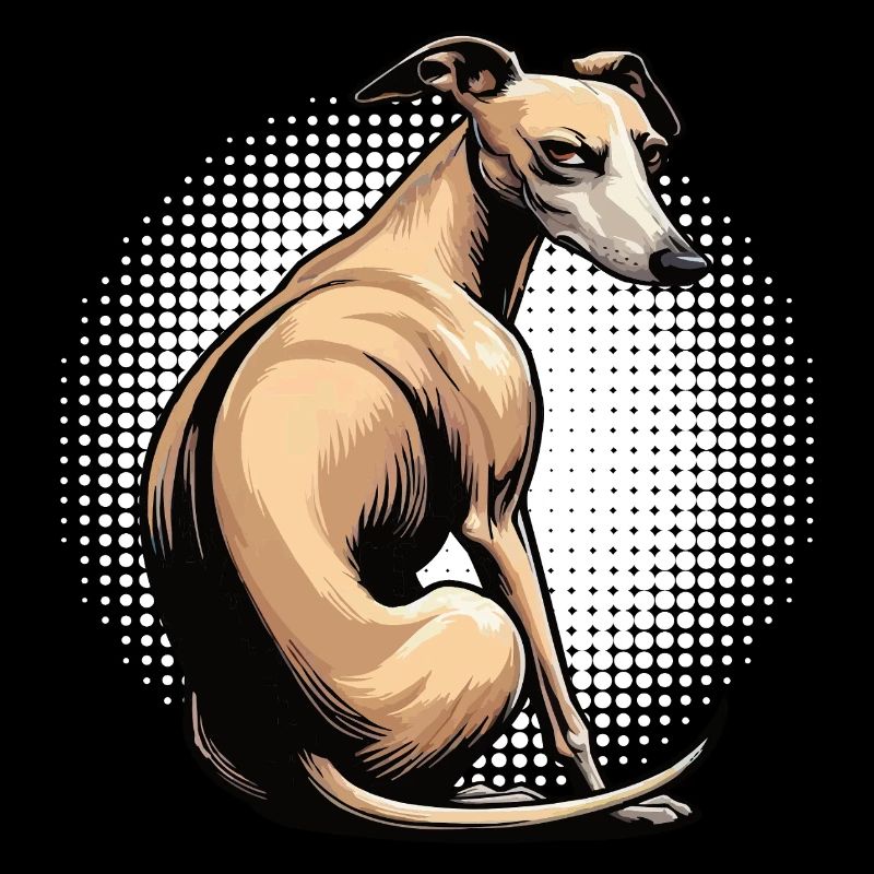 Whippet Greyhound Whippets Greyhound Owner