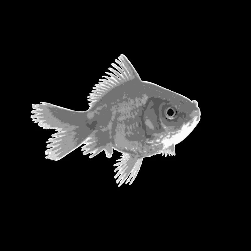 Poisson rouge