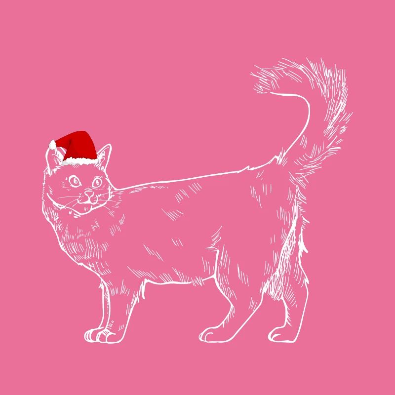 Chat de Noël