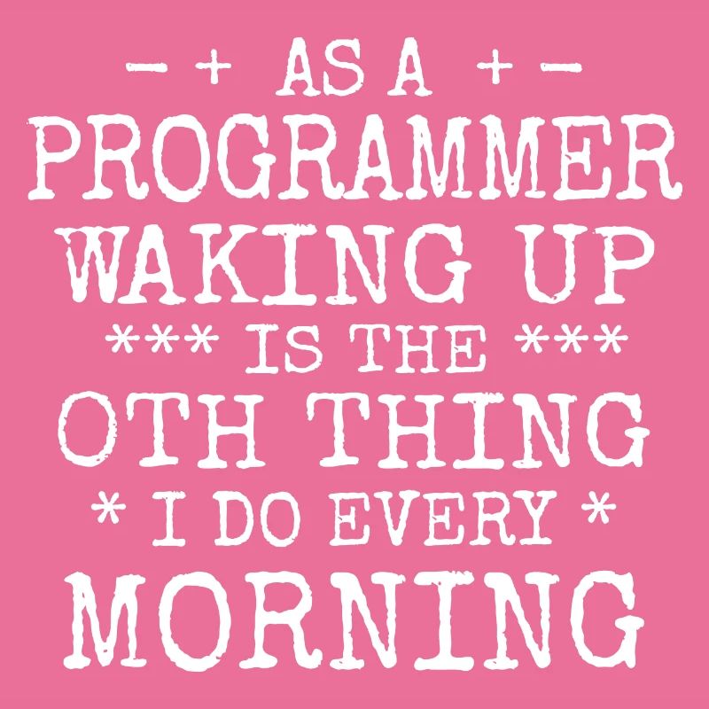 Software Ingenieur Informatiker Programmierer