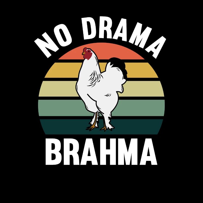 No Drama Brahma Poulets Élevage de poulet coq