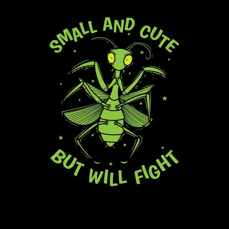 Small and Cute but will Fight Gottesanbeterin