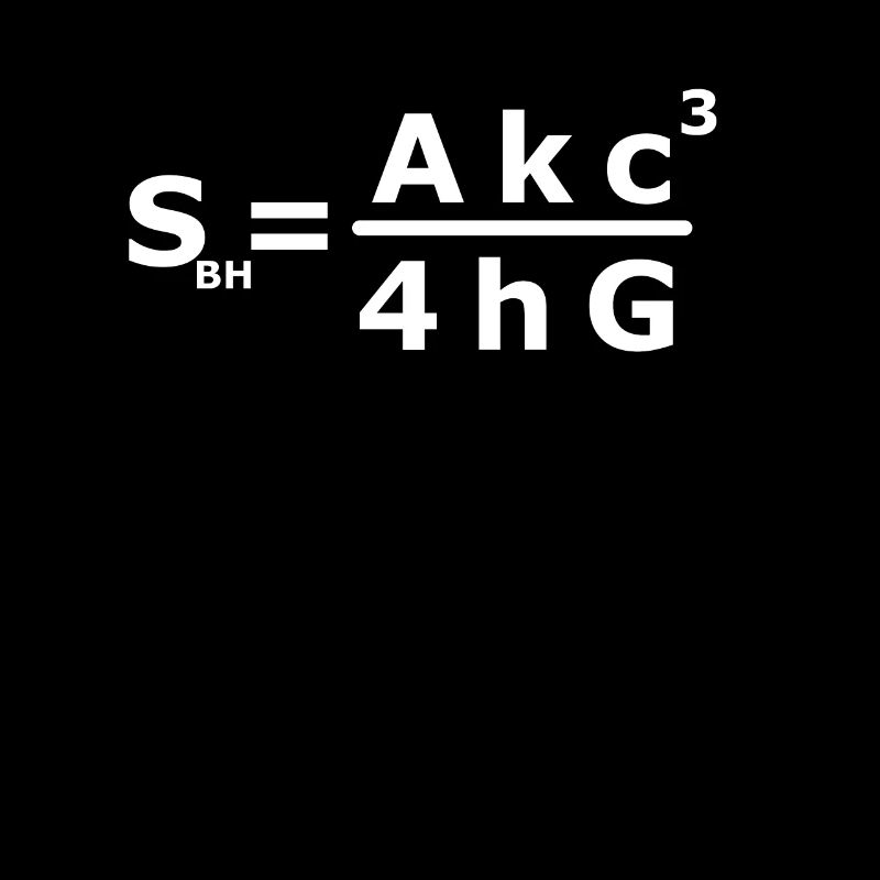 Black Hole Entropy Physicist