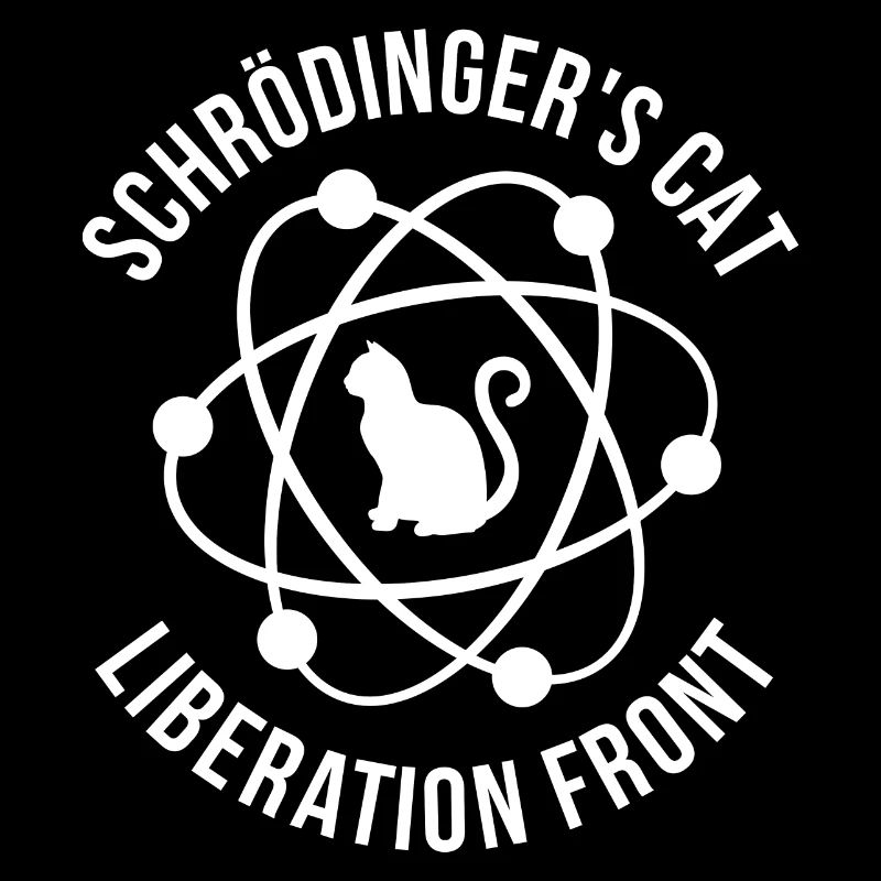Le chat de Schrödinger, paradoxe de la physique