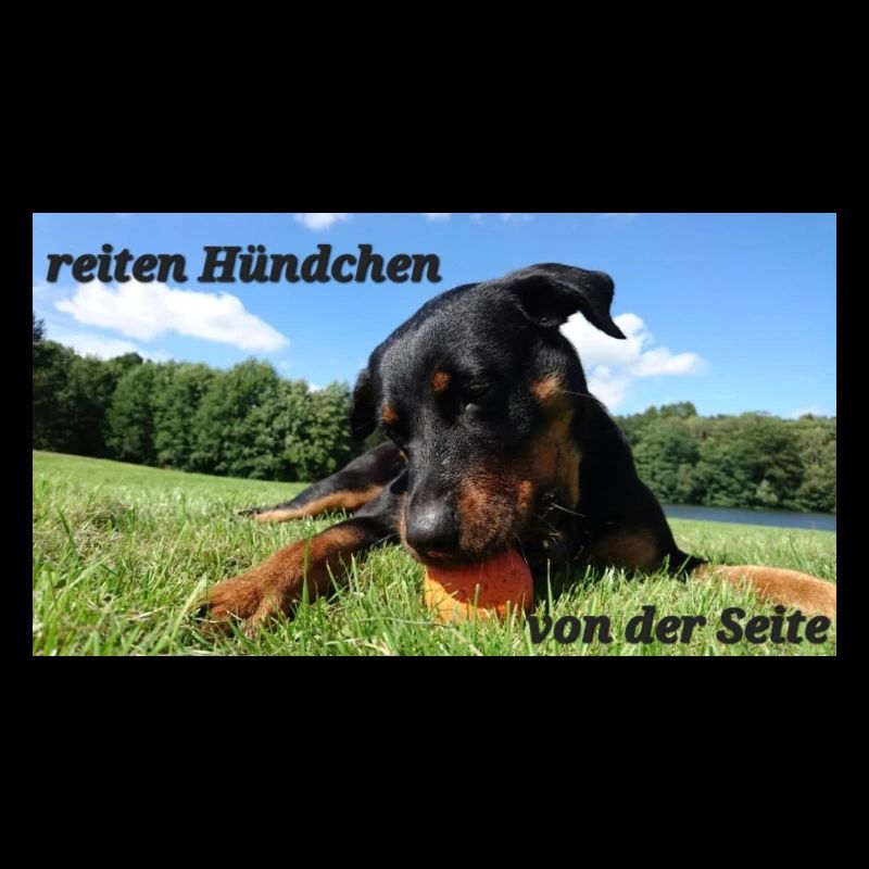 Hündchen