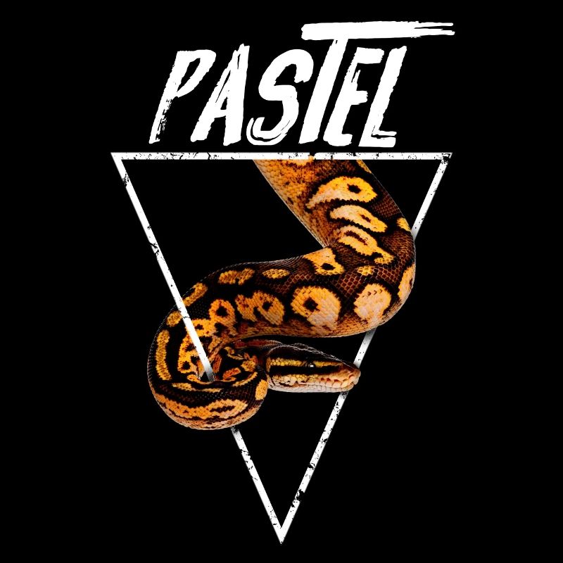 Pastel Ball Python Propriétaire