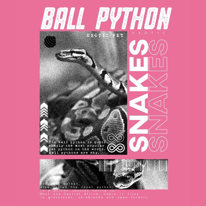 Ball Python Modern Streetwear Reptilienpfleger