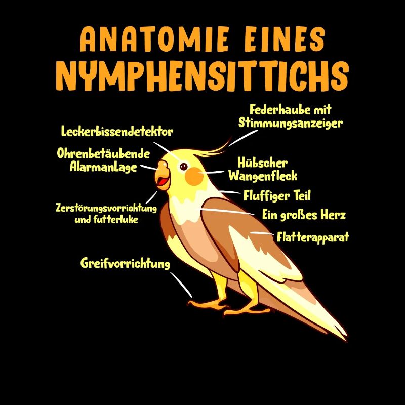 Anatomie eines Nymphensittichs Vogelfreund