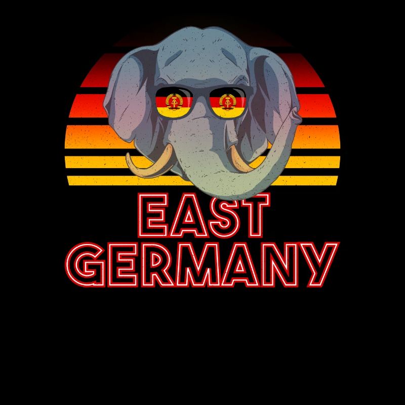 DDR