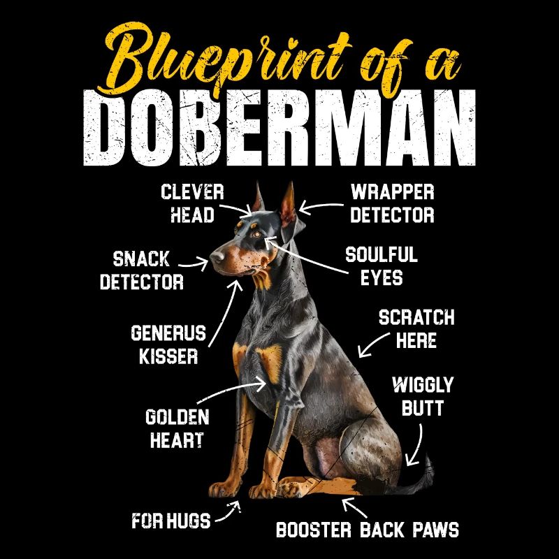 Doberman Chien PLAN D’UN DOBERMAN Drôle