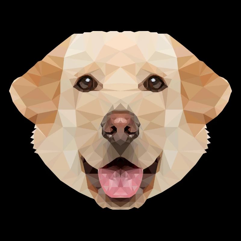Labrador Polygon Hund