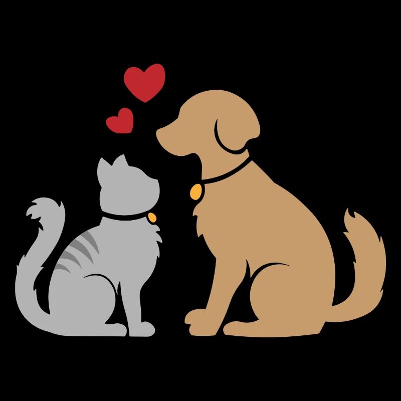Chat et chien - Chat et chien - Chat et chien