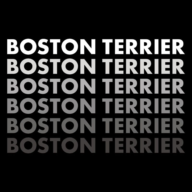 Boston Terrier
