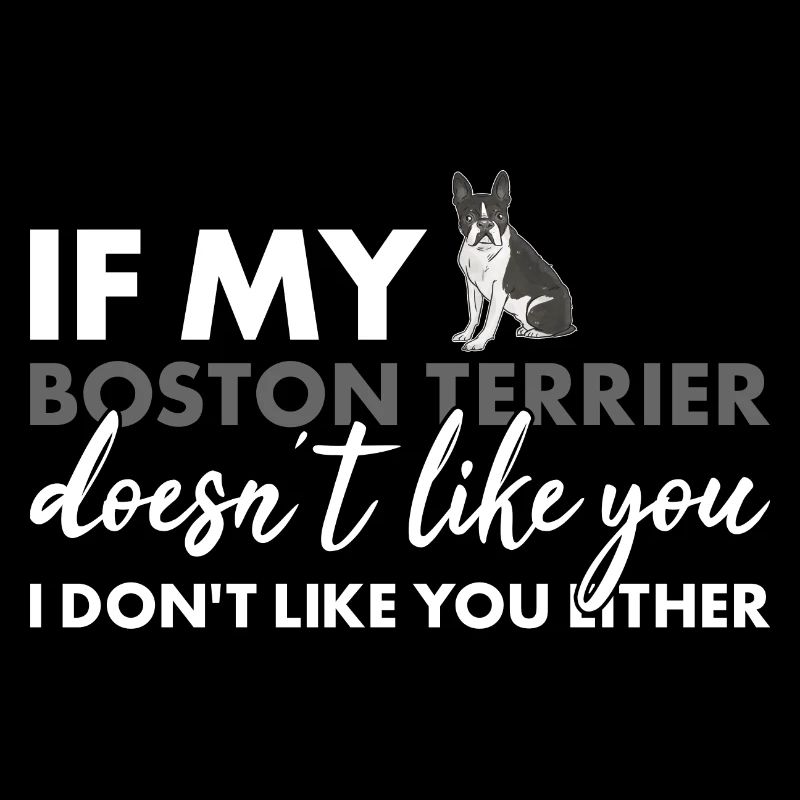 If My Boston Terrier Doesn't Like You