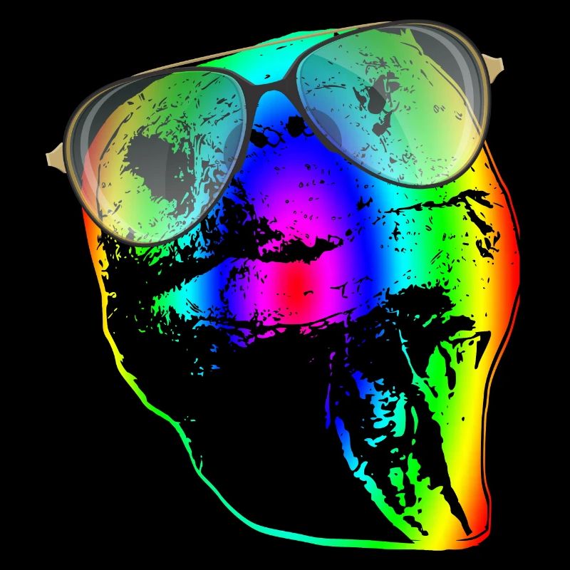 Turtle Sunglasses Turtles Rainbow
