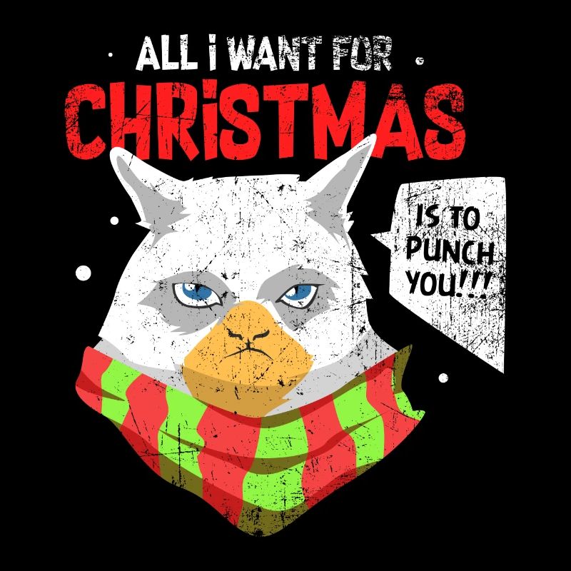 Cadeau de chat du père Noël de vacances de Noël