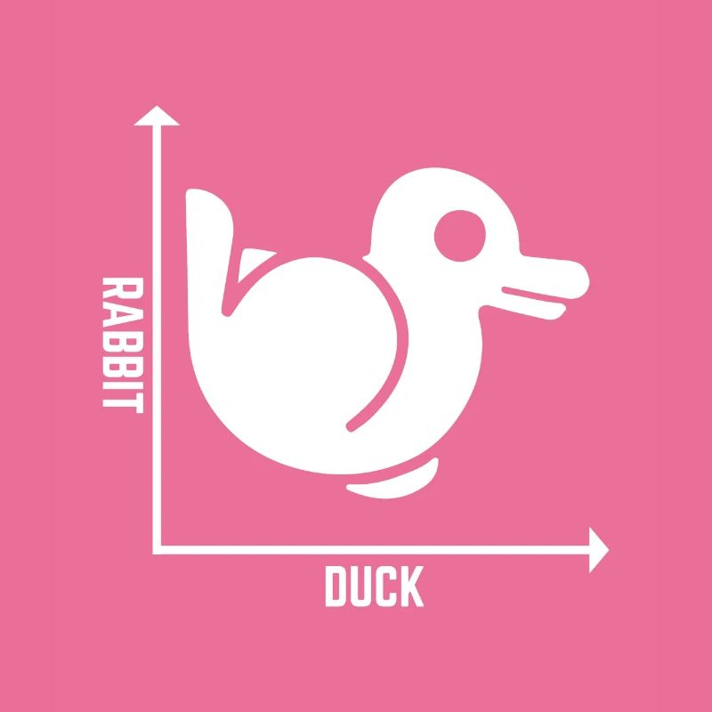 Rabbit Duck Graph Math Pun Student Teacher Easter