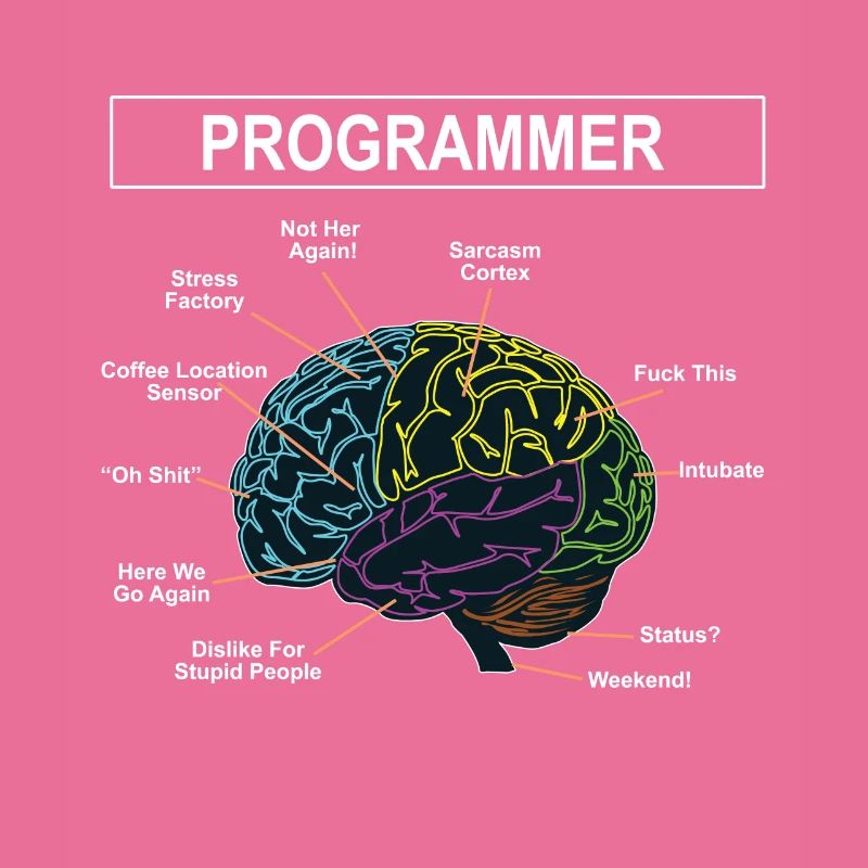 Programmierer