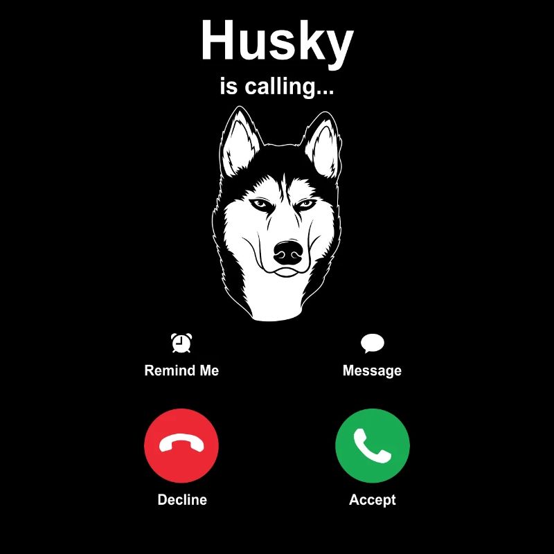 Husky Schlittenhunde