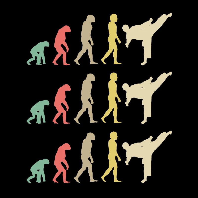 Karate Evolution - Taekwondo