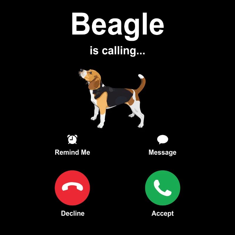Idée cadeau chiot Beagle