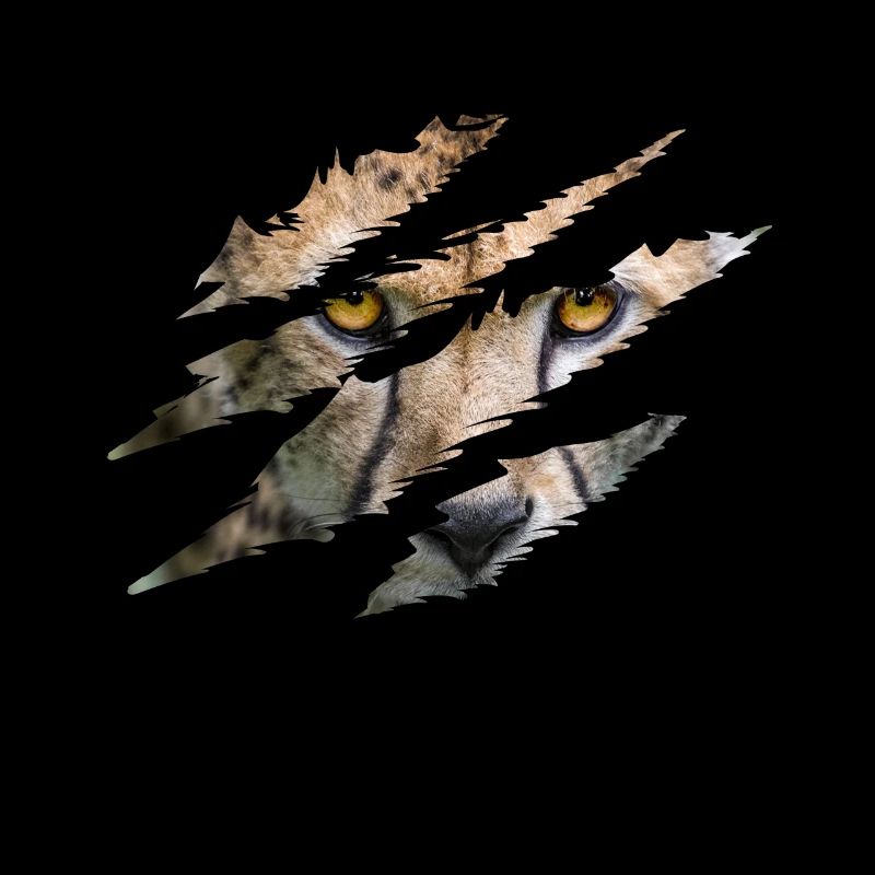 Griffes guépards Grand Chat Guépard Schlitzkl