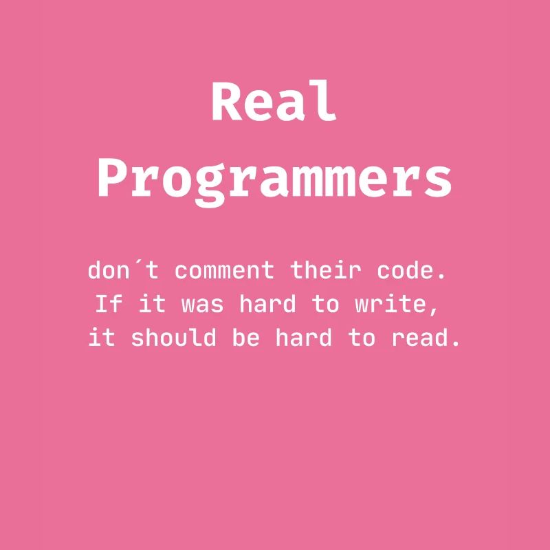 Software developer programmer